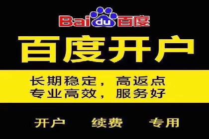 百度竞价开户与优化：企业成功案例解析与启示